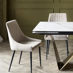 Blakely champagne velvet dining chair - set of 2