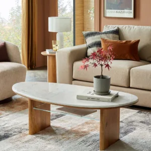 Cara light mango wood marble top coffee table