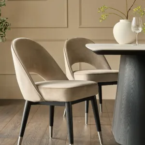 Clover champagne velvet dining chair with stainless steel caps - set of 2