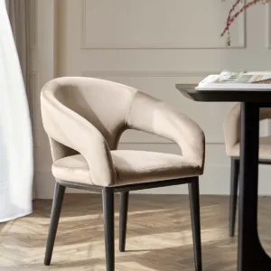 Heath Champagne Velvet Black Wood Dining Chair