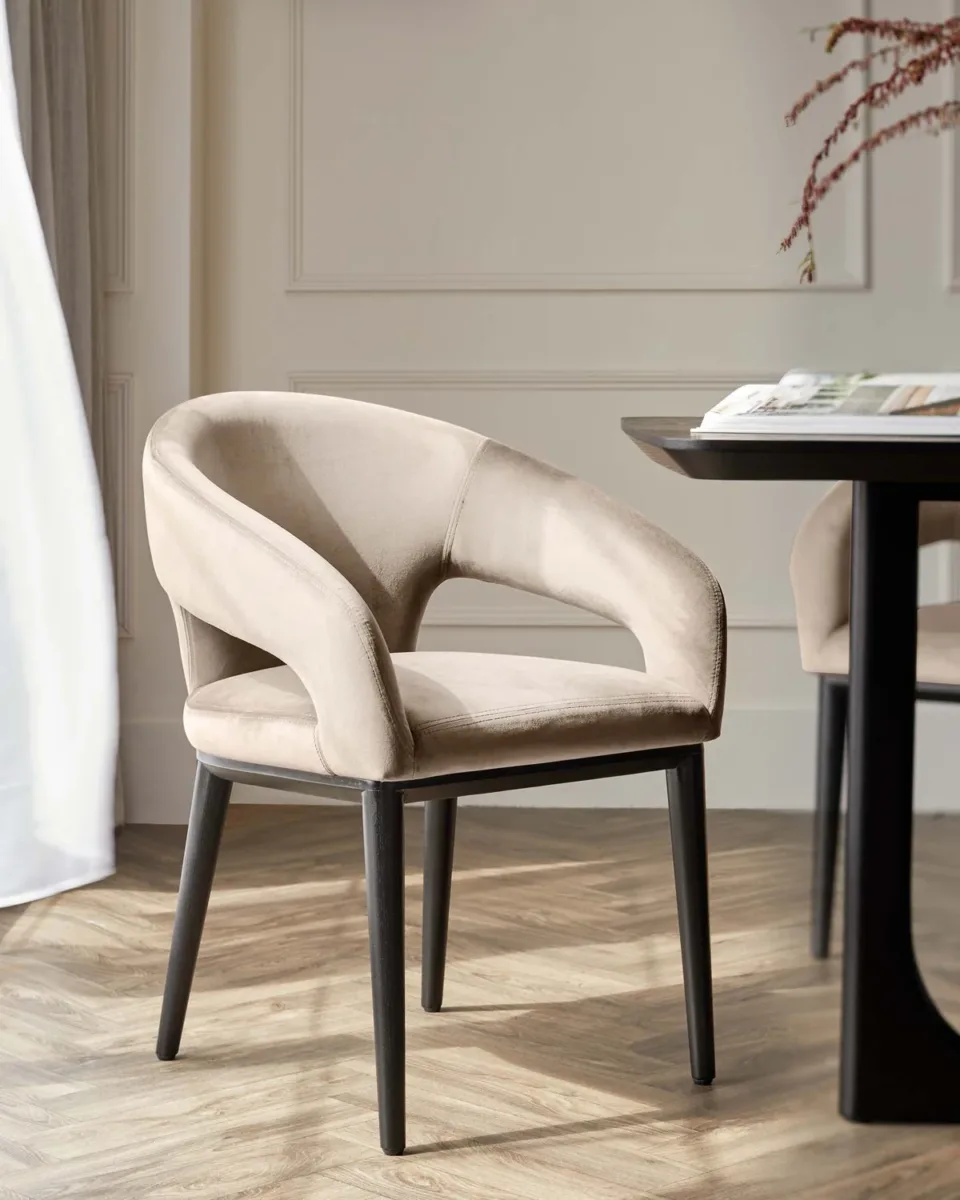 Heath Champagne Velvet Black Wood Dining Chair