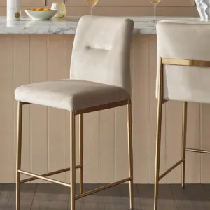 Keira Champagne Velvet And Brass Static Bar stool
